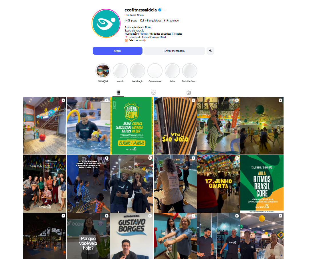 Print do perfil da Ecofitness Aldeia no Instagram